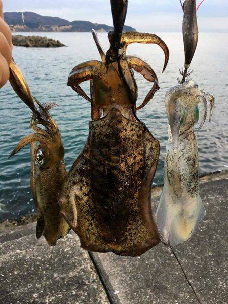 釣り納めが出来ました！